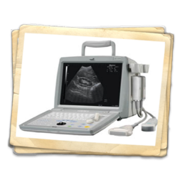 Icon image Echocardiography