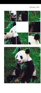 My Panda Puzzle