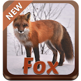 Fox GO Keyboard icon