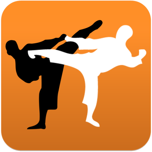 Karate in brief  Icon