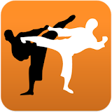Karate in brief icon