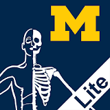MSK Anatomy Lite - SecondLook icon