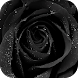 Black Rose Live Wallpaper