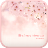 Cherry blossom go locker theme icon