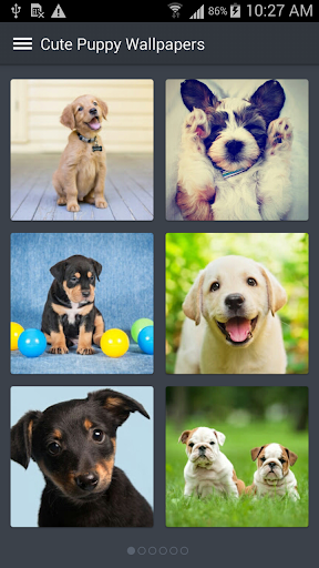 Cute Puppy Wallpapers Screen 2