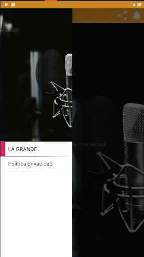 RADIO LA GRANDE Screen 3