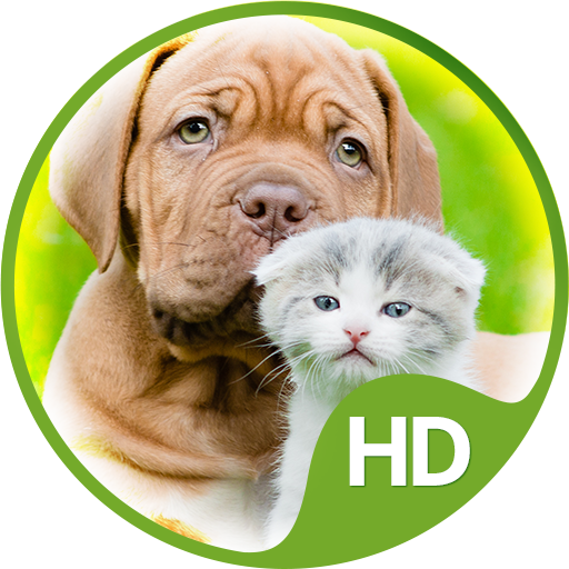 Wallpapers cute animals logo