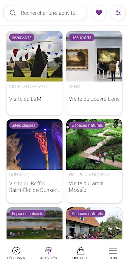Lille City Pass Screen 3