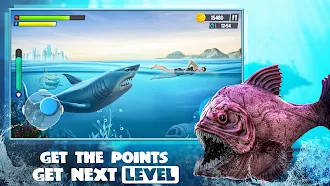 Game screenshot акула атака офлайн игры 3d mod apk