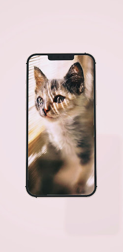 Wallpapers HD plus Screen 3