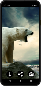 خلفيات الدب القطبي HD 4.0 APK + Mod (Unlimited money) إلى عن على ذكري المظهر