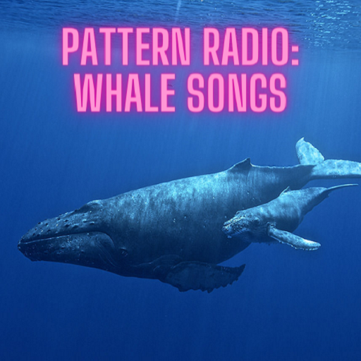 PATTERN RADIO-WHALE SONGS APP