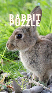 My Rabbit 2 Puzzle