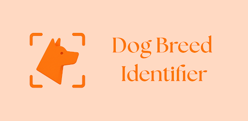 Dog Breed Identifier