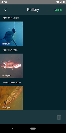 GoFish Cam Screen 3