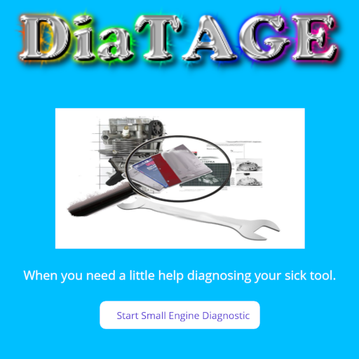 DiaTAGE logo
