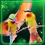 Cover Image of Tải xuống Amazing Birds Live Wallpaper  APK