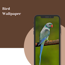 Bird Wallpaper 4k - Ringtonesのおすすめ画像3