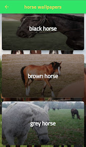 Horse pictures 7 APK + Мод (Unlimited money) за Android