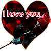 Verliebt Gif Liebesbotschaften - Ich Liebe Dich Gifs Get The Best Gif On Giphy / Discover and share the best gifs on tenor.