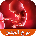 Cover Image of Télécharger دليل المرأة الحامل - صحة و نوع الجنين 1.0 APK