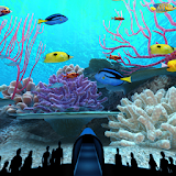 Coral Reefs World Trial icon