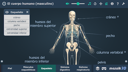 Imágen 3 El cuerpo humano en 3D android