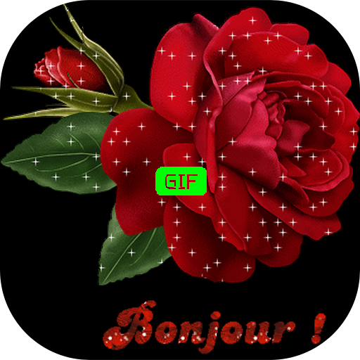 Bonjour Bonsoir Fleurs Gif