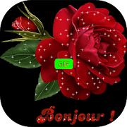 Bonjour Bonsoir Fleurs Gif