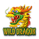 Wild Dragon icono