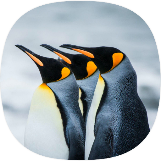 Penguin Sounds logo
