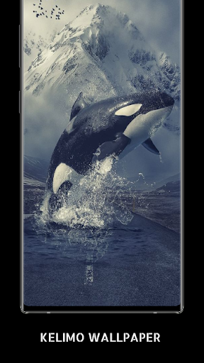 Android application Orca Wallpaper screenshort