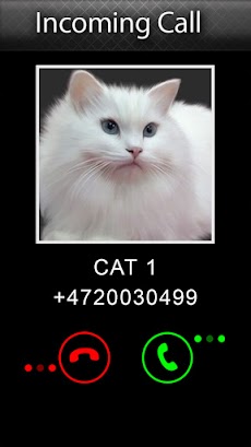Joke Video Call to Catのおすすめ画像2