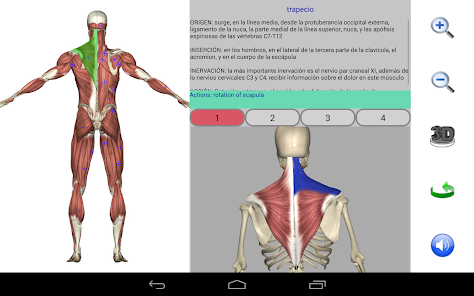 Imágen 13 Visual Anatomy android