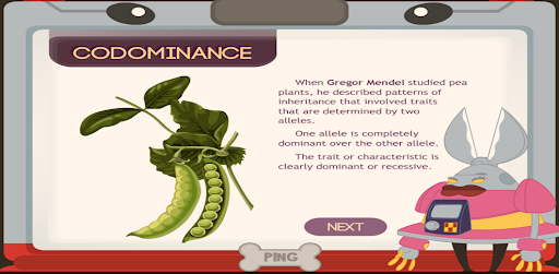 Codominance (Multiple Alleles) Screen 2