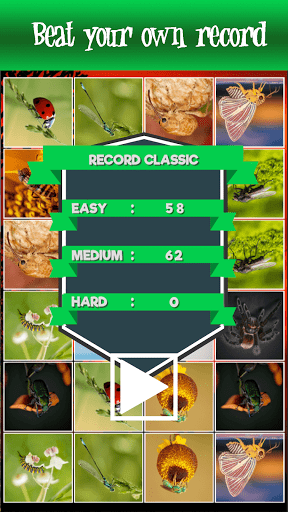 Memory Match - Jungle Animals