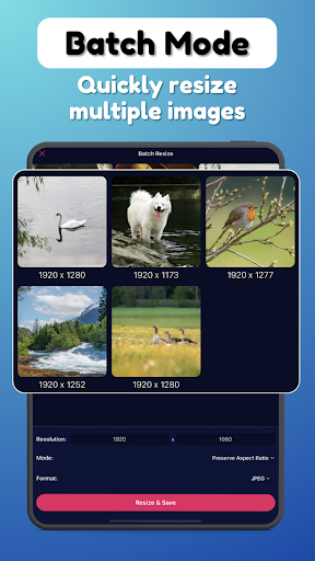 Resize Photos - Image Size