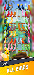 Meep Land - Bird Color