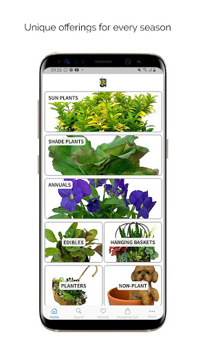 The Garden Corner Store Screen 3