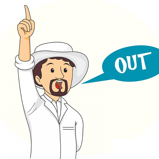 The Umpire Call logo