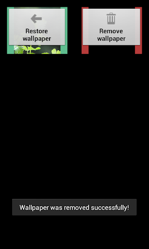 Remove Wallpaper Screen 3