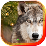Wolf Best HD live wallpaper icon