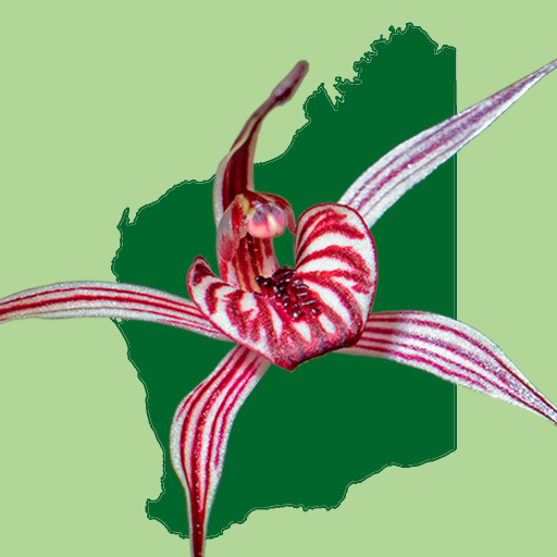 Western Australian Orchid Key Logo