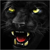 Black panther ferocious icon