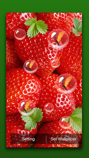 Strawberry Live Wallpaper Screen 2