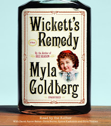 Icon image Wickett's Remedy: A Novel