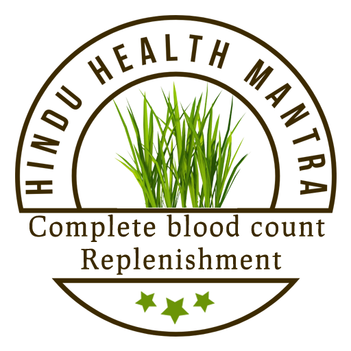Hindu Health Mantra logo