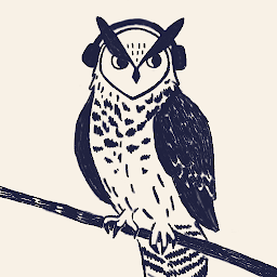 Night Owl Audiobook Player: Download & Review