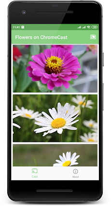 Flowers  on Chromecastのおすすめ画像4