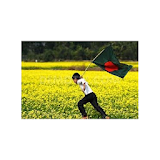 Bangladesh Green icon